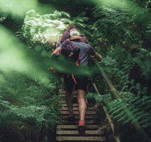 blog image